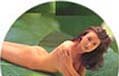 Decleor Skin Care for the Body